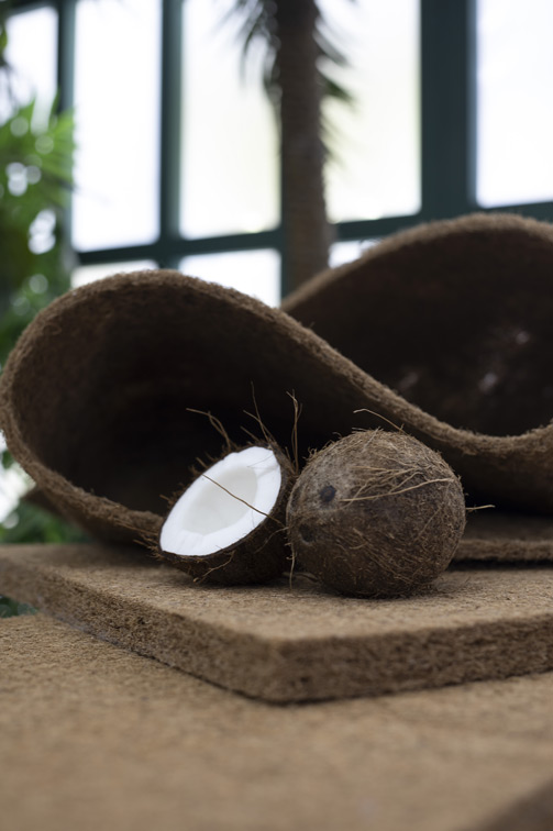 Детский матрас Dreamline Baby Dream TFK 60х120х12